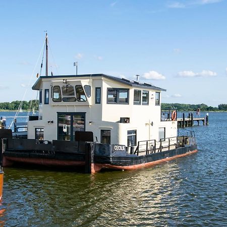 Island-Dreams Hausboot Cecilie Lejlighed Slesvig Eksteriør billede